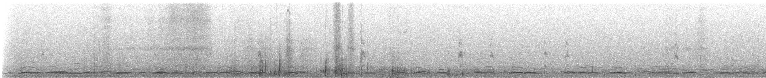 Cygne siffleur - ML141381971