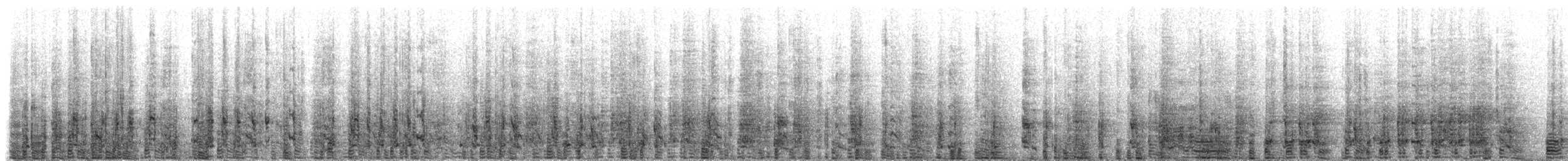 Snares Penguin - ML141401