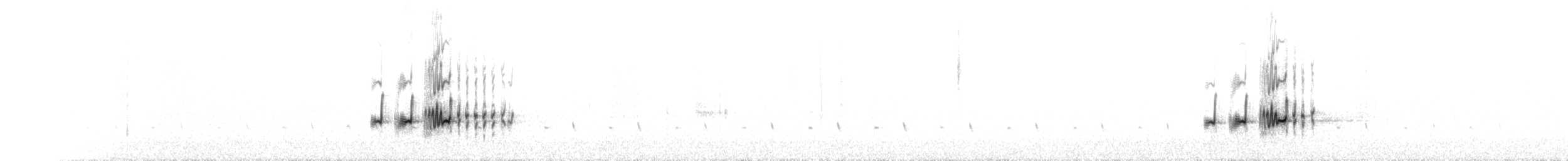 drozd cvrčala (ssp. coburni) - ML141419011