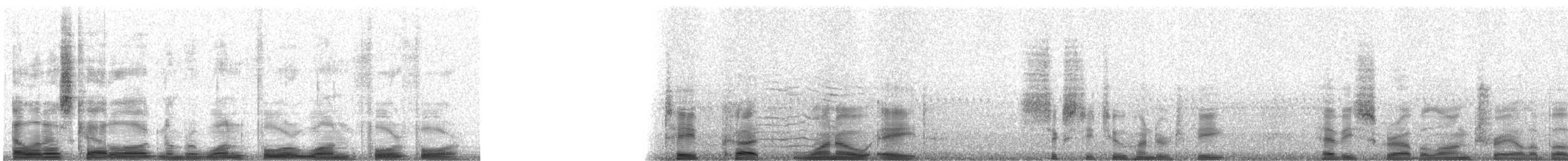 Orange-headed Thrush - ML14144