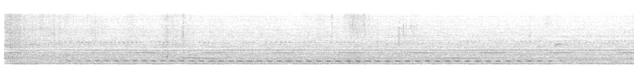 Бурая совка (colombianus) - ML141441301