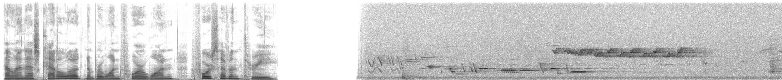 Tomtit (New Zealand) - ML141473