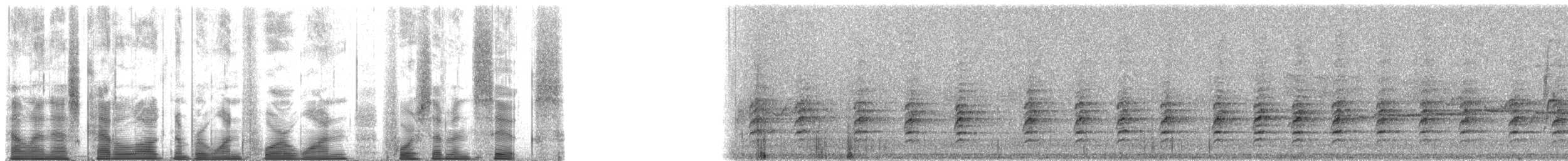 New Zealand Bellbird - ML141476