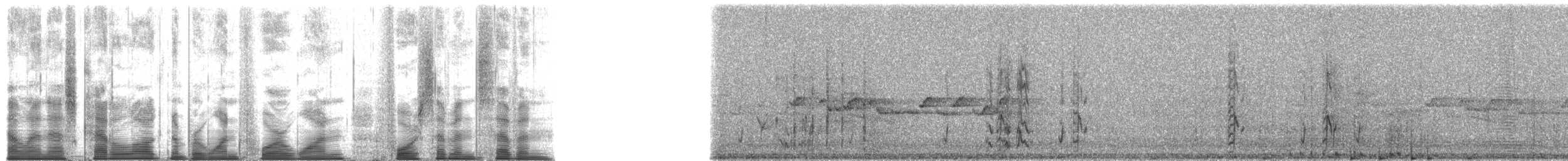 Eastern Rosella - ML141477