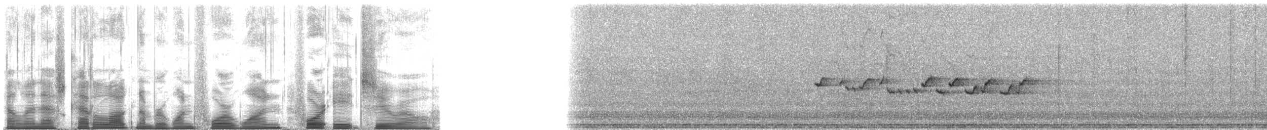 Tomtit (New Zealand) - ML141480