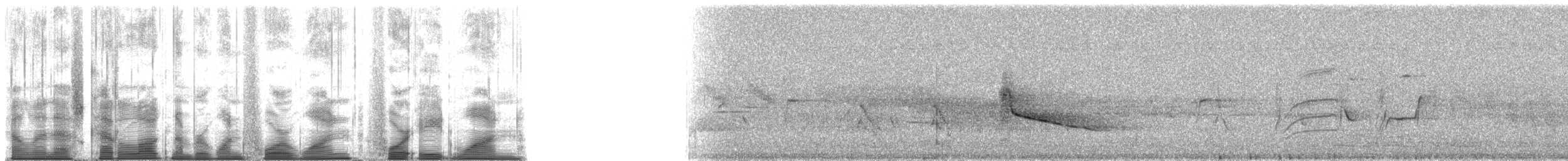 Shining Bronze-Cuckoo (Shining) - ML141481