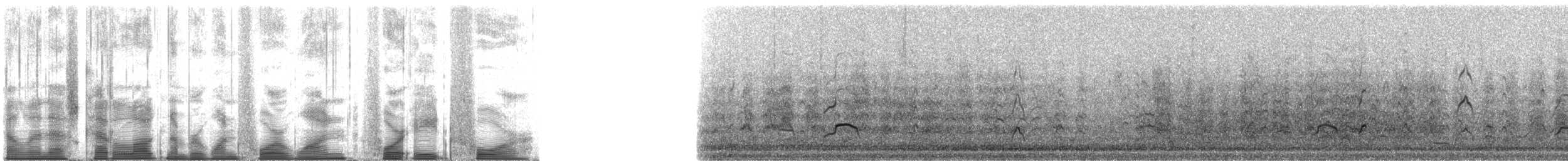 South Island Oystercatcher - ML141484