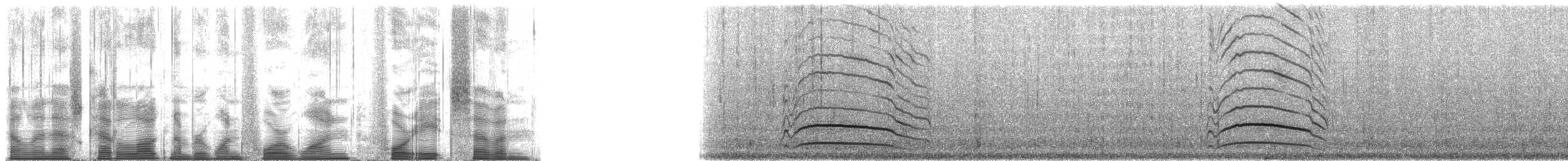 Ostrero Variable - ML141487