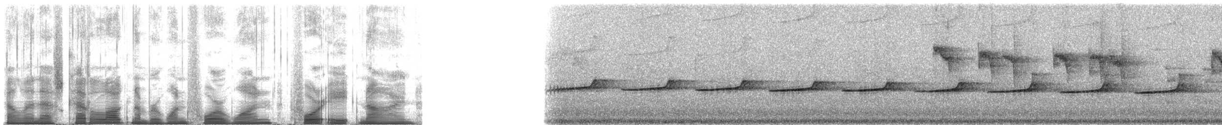 Shining Bronze-Cuckoo (Shining) - ML141489