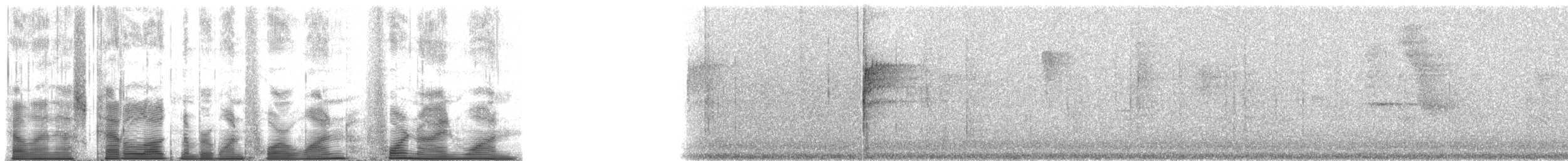 North Island Saddleback - ML141491