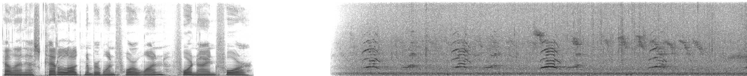 South Island Takahe - ML141494