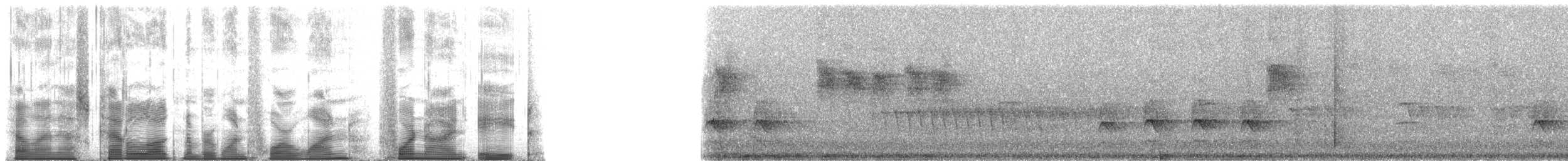 Sacred Kingfisher (New Zealand) - ML141498