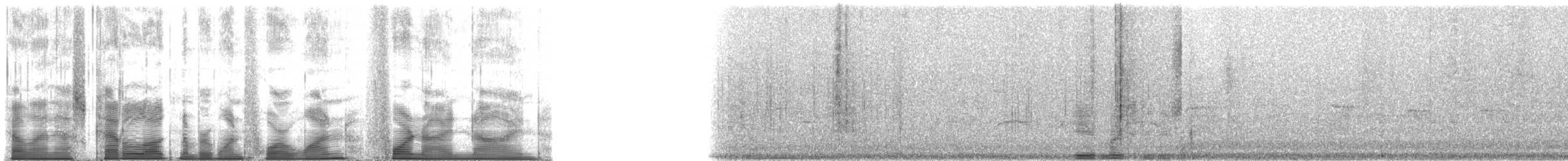 North Island Kokako - ML141499