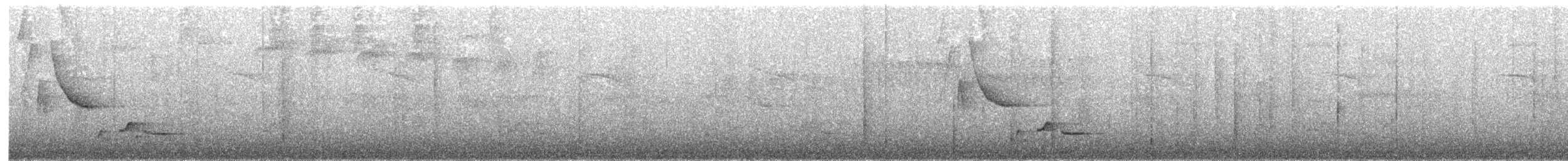 Серогрудый крапивник - ML141504901