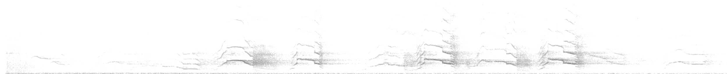 Желтохвостый траурный какаду - ML141528821