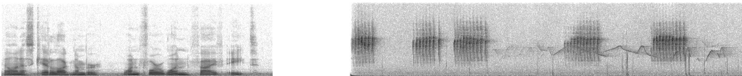 Spotted Laughingthrush - ML14158