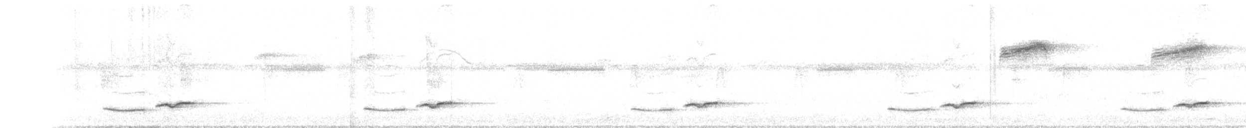 Белогрудый крапивник - ML141633731