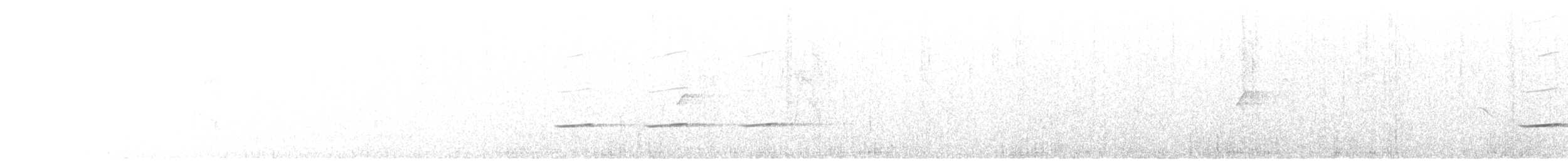 Striped Cuckoo - ML141688511