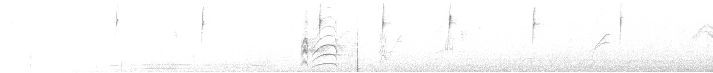 Great Kiskadee - ML141690901