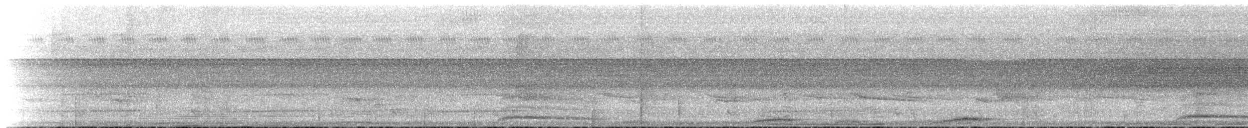 holub skvrnkoprsý - ML141713471