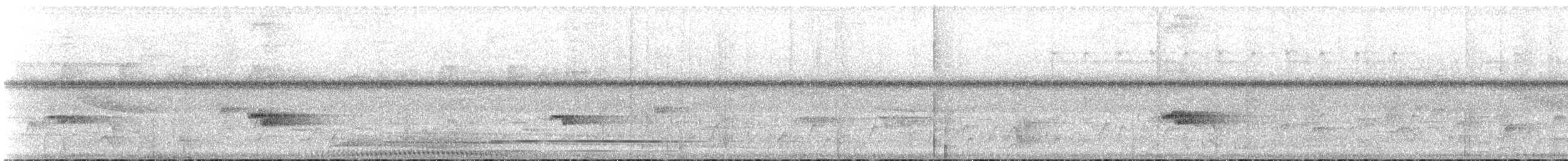 holub pacifický - ML141713711