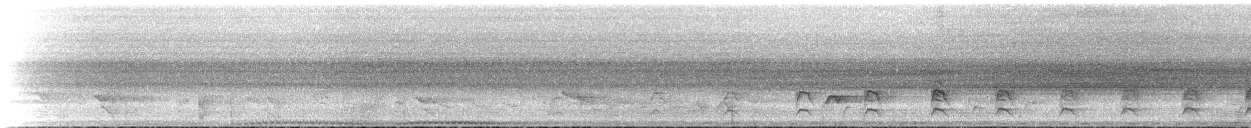 ledňáček pacifický - ML141714981