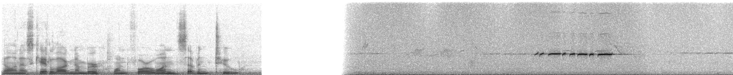 Rufous Sibia - ML14172