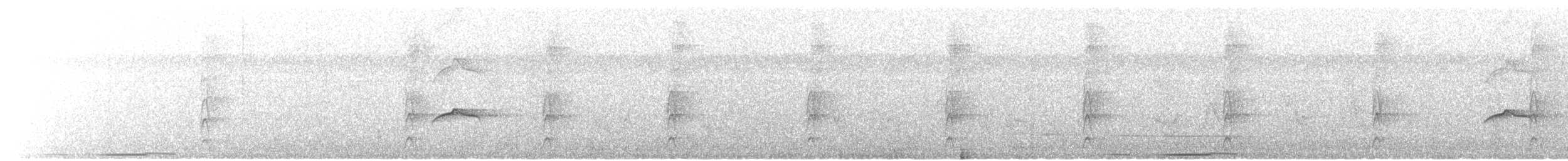 Piratic Flycatcher - ML141738221