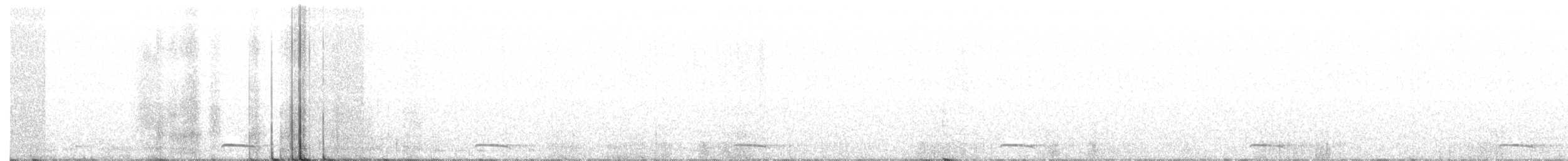 kulíšek mexický (ssp. hoskinsii) - ML141785341