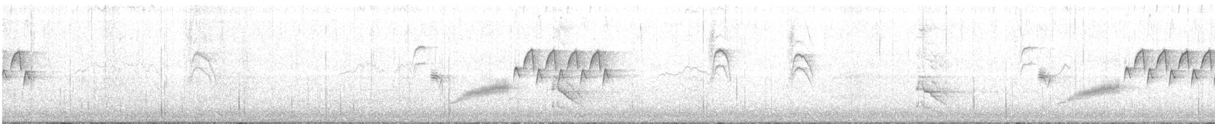 Bewick's Wren - ML141837891