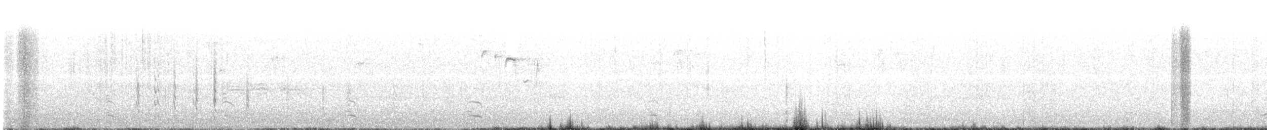 gråskrike (canadensis gr.) - ML141854911