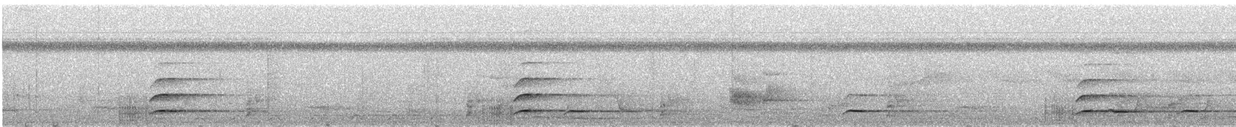 White-throated Toucan - ML141891381