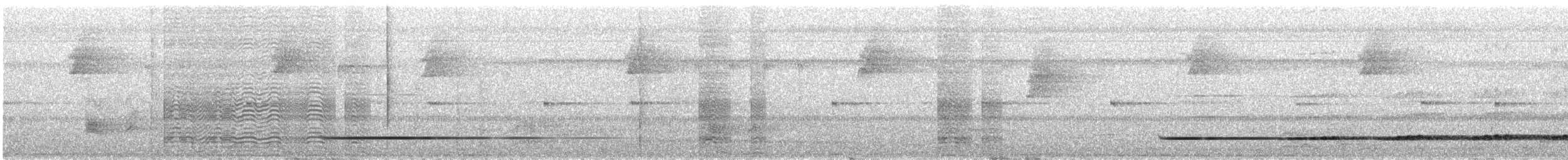 Variegated Tinamou - ML141894091