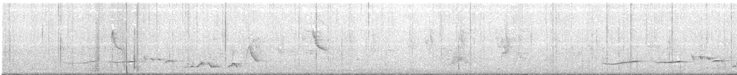 Shama à croupion blanc (groupe malabaricus) - ML141902421