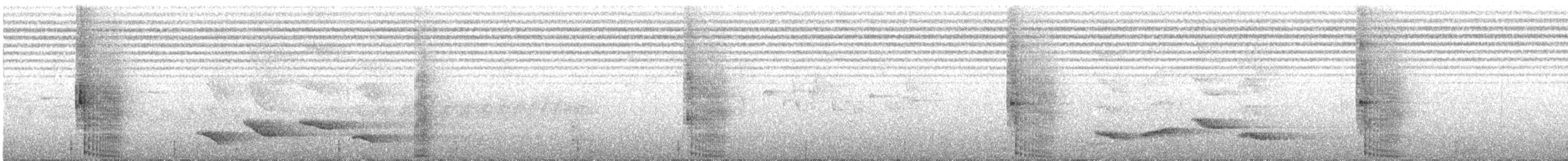 blåkoa - ML141912921