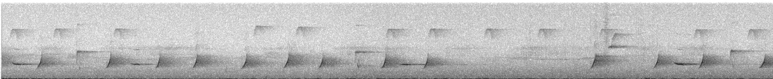 Crested Drongo - ML141914751