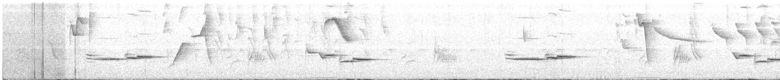 Дрізд-короткодзьоб сірий [група fuscater] - ML141950781