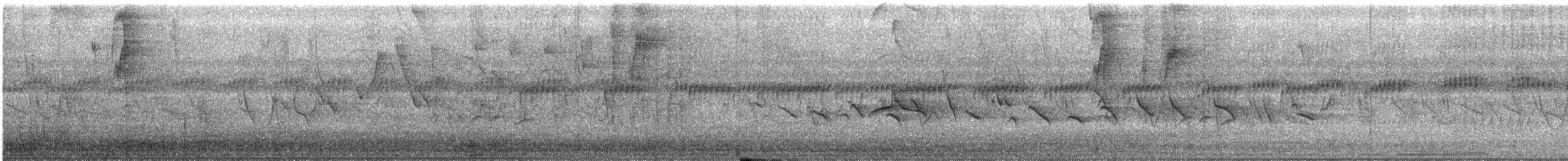 Alev Sokumlu Tangara - ML141960011