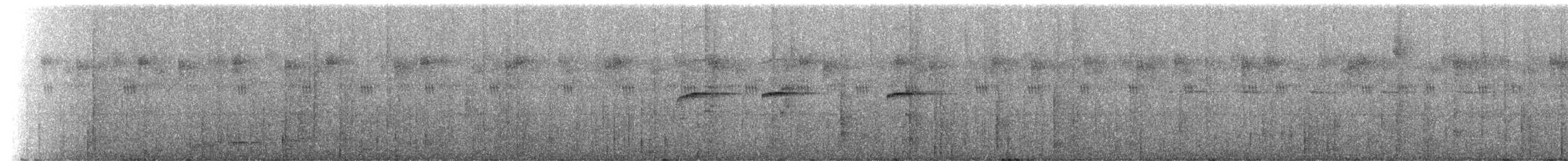 Méliphage bouffant - ML141985