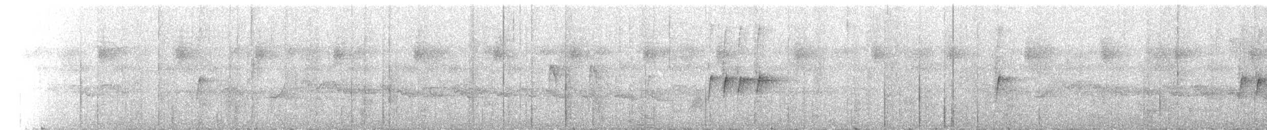 Black Sunbird - ML141987