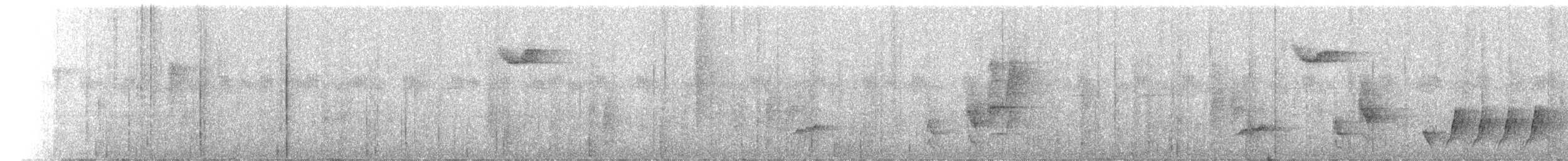 Golden Monarch - ML141988