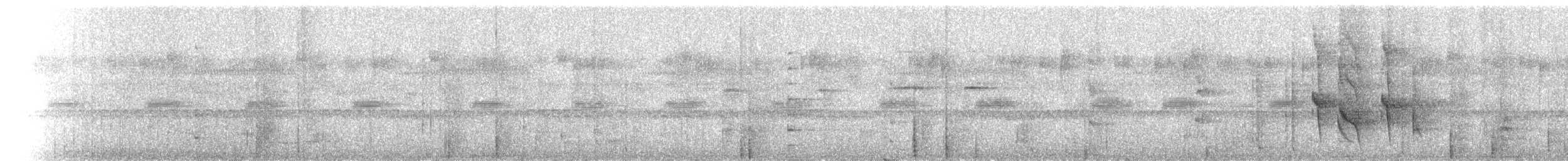 Metallic Starling (Metallic) - ML141995