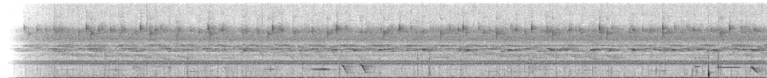 Little Shrikethrush (Arafura) - ML141997