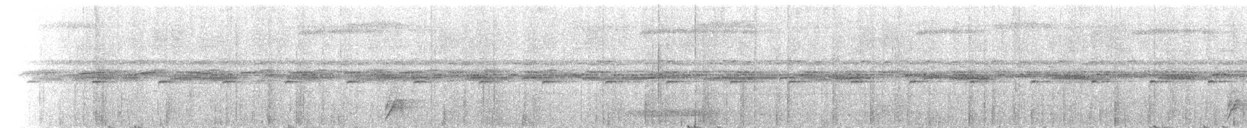 Bennetthöhlenschwalm (plumifer) - ML142000