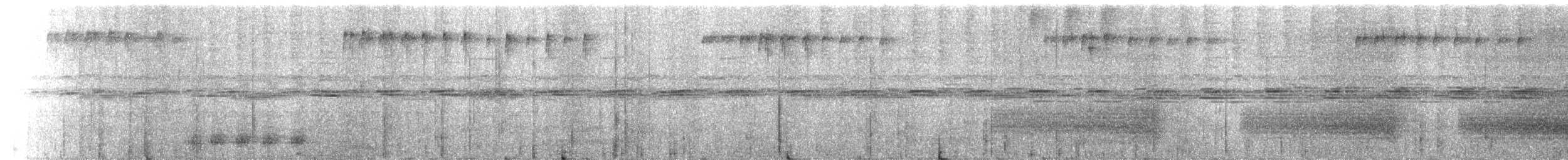 Égothèle de Bennett (plumifer) - ML142003