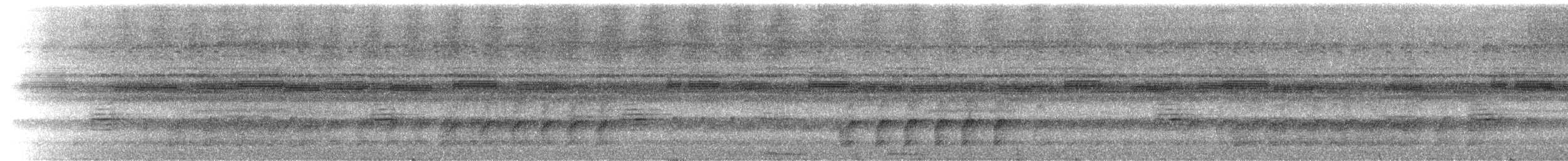 Papuan Boobook - ML142006