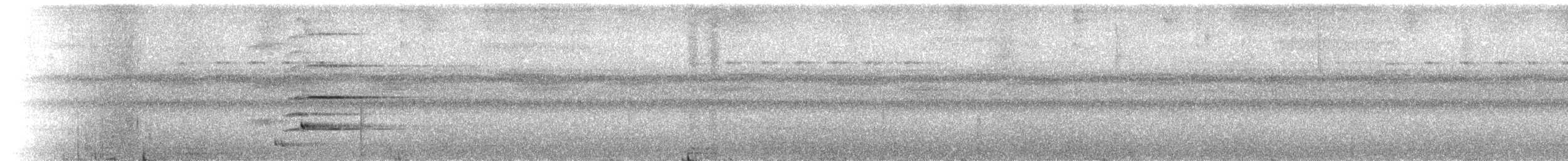 Hair-crested Drongo - ML142007