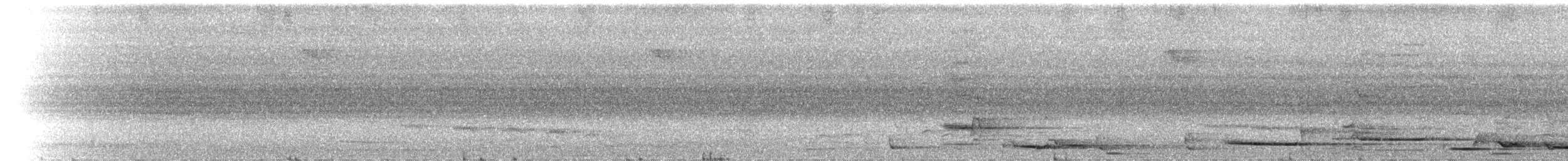 Hooded Butcherbird - ML142013