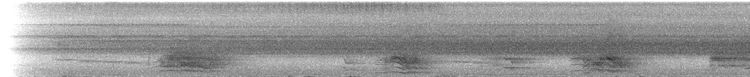 Sulphur-crested Cockatoo - ML142014