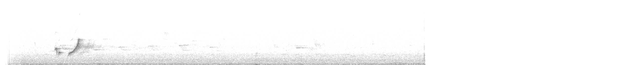 hvitsmykkehonningeter - ML142015191